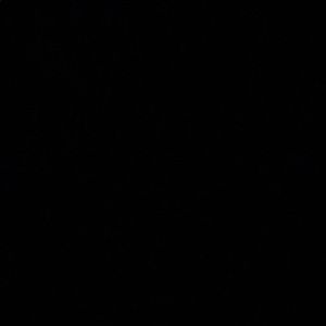 Meet your Posher, Miy